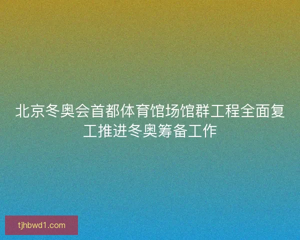 北京冬奥会首都体育馆场馆群工程全面复工推进冬奥筹备工作